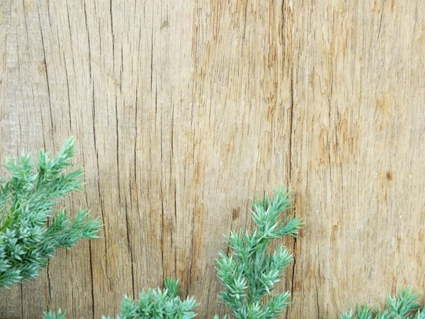 Hojas verdes sobre el viejo fondo de madera —  Fotos de Stock