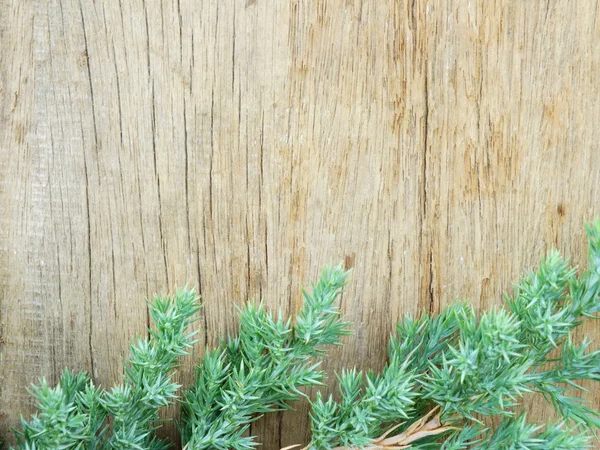 Hojas verdes sobre el viejo fondo de madera —  Fotos de Stock