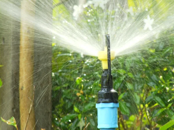 Water sprinkler in the garden — Stock Photo, Image