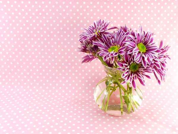 A krizantém szép rózsaszín virágok csokor — Stock Fotó