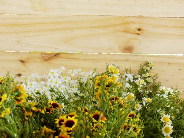 ahşap arka plan üzerinde yapay çiçek şube