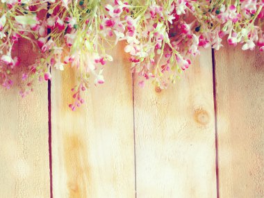 renk filtreleri ile yapılan güzel çiçekler