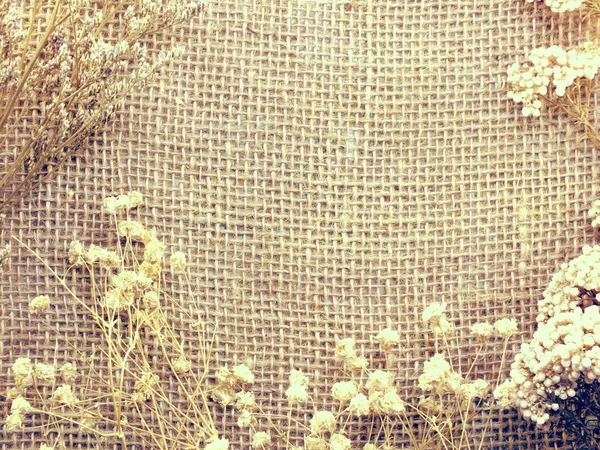 건조 꽃 배경 및 구성 빈티지 필터 색상으로 만든 자루 매트 — 스톡 사진