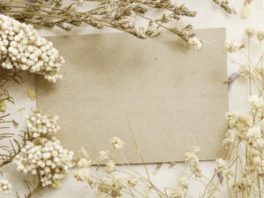 alan arka plan süslemeleri ile kurutulmuş flowerspace arka plan ile kuru çiçek süslemeleri