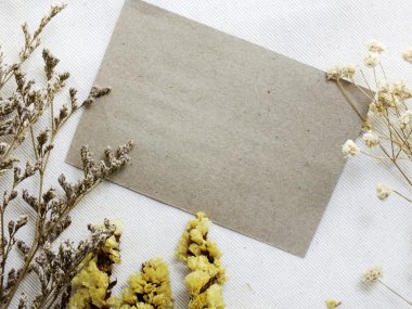 alan arka plan süslemeleri ile kurutulmuş flowerspace arka plan ile kuru çiçek süslemeleri