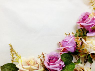 yapay Mor gül çiçek alanı kopya sınır arka plan