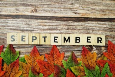 Ahşap zemin üzerinde akçaağaç yaprakları olan Eylül alfabesi harfi