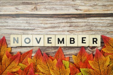 Ahşap arkaplanda akçaağaç yapraklı Kasım alfabesi harfi