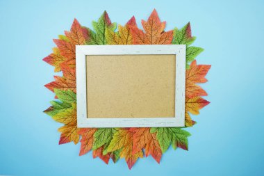 Mavi arkaplanda boşluk kopyası olan akçaağaç yaprakları