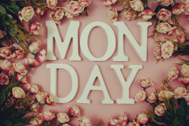 Pembe arka planda çiçek açan Pazartesi alfabesi harfi