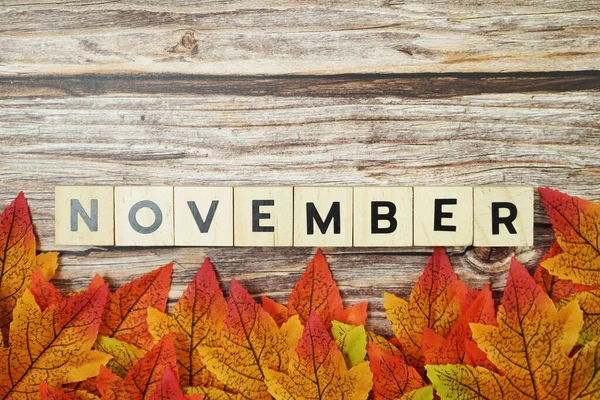 Huruf Alfabet November Dengan Bingkai Maple Daun Pada Latar Belakang — Stok Foto