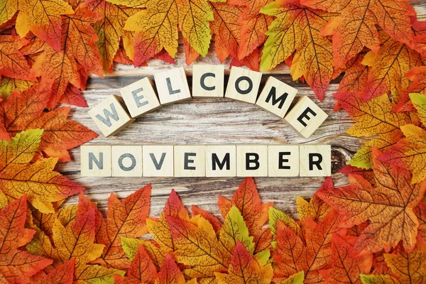 Selamat Datang Huruf Alfabet November Dengan Bingkai Maple Daun Pada — Stok Foto
