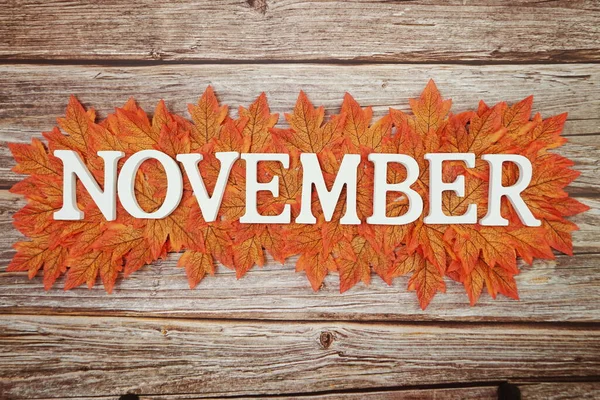 November alphabet letter with maple leaves frame on wooden background