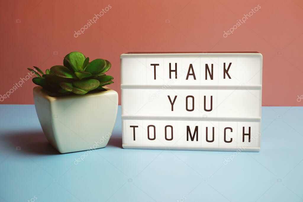 Thank You Too Muchword in light box on blue and pink background