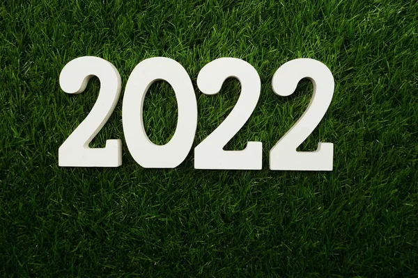 2022 Ευτυχισμένο Νέο Έτος Επίπεδη Θέσει Πράσινο Τεχνητό Γρασίδι — Φωτογραφία Αρχείου