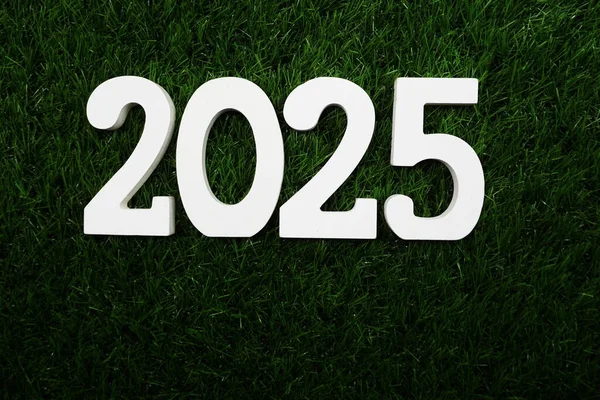 2025 Šťastný Nový Rok Byt Ležel Zelené Umělé Trávě — Stock fotografie