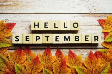 Akçaağaçlı Eylül alfabesi harfleri ahşap arka planda süsleme yapıyor.