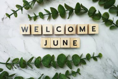 Yeşil izinli Haziran alfabesi harfi mermer zemin üzerinde yatıyordu