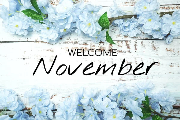 Bienvenue Novembre Texte Décoration Fleurs Bleues Sur Fond Bois — Photo