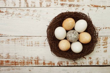 Kuş yuvasında Paskalya Yumurtaları ve ahşap arka planda uzay kopyası