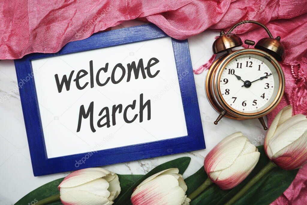 Welcome March written on blue frame with tulip flower flat lay on marble background
