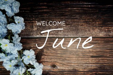 Hoş geldiniz Haziran metni ve ahşap arka planda mavi çiçek süslemesi