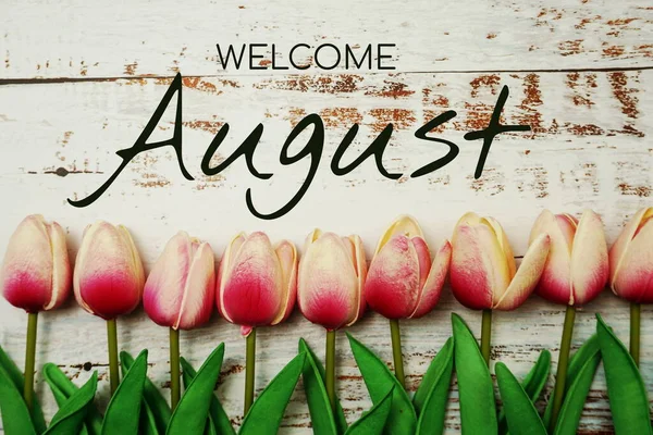 Welcome August Text Tulip Flower Decoration Wooden Background — Stock Photo, Image