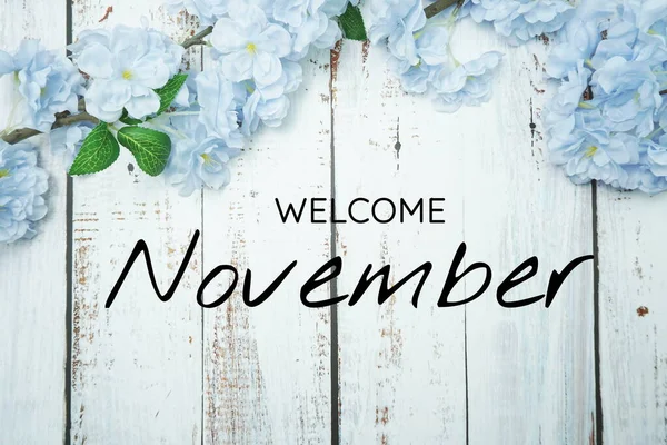 Bienvenido Texto Noviembre Decoración Flores Azules Sobre Fondo Madera — Foto de Stock