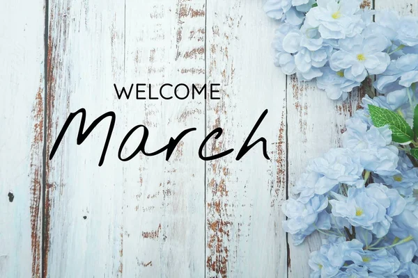 Welcome March Text Blue Flower Decoration Wooden Background — Stock Photo, Image