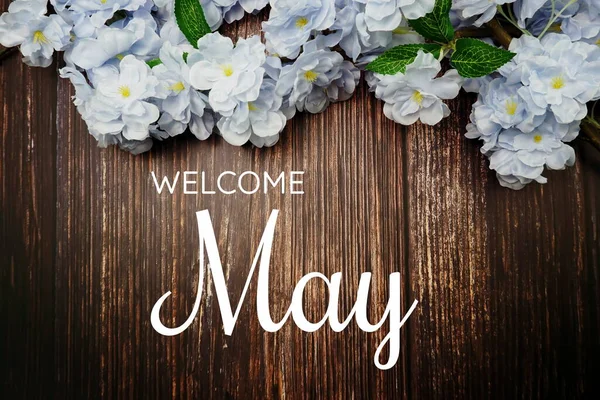 Welcome May Text Blue Flower Decoration Wooden Background — Stock Photo, Image