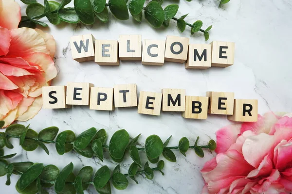 Bienvenue Septembre Lettre Alphabet Avec Feuille Verte Fleur Rose Plat — Photo