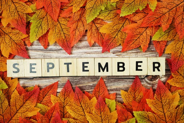 September Alphabet Letter Maple Leaves Frame Wooden Background — Stock Photo, Image