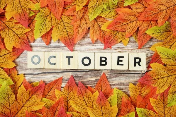 October Alphabet Letter Maple Leaves Frame Wooden Background — Stock Photo, Image