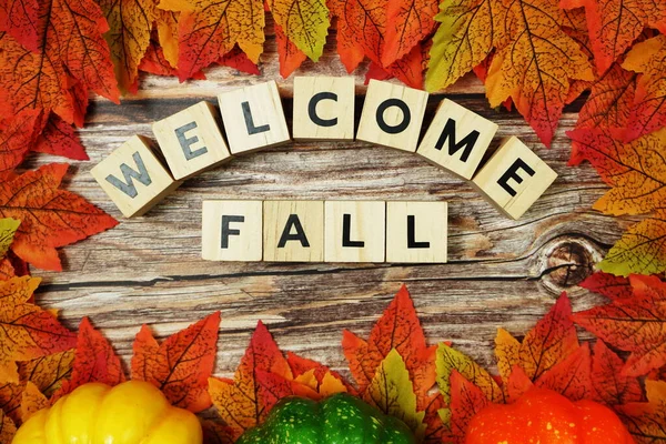 Vítejte Podzimní Abeceda Písmeno Javorovými Listy Rám Dřevěném Pozadí — Stock fotografie