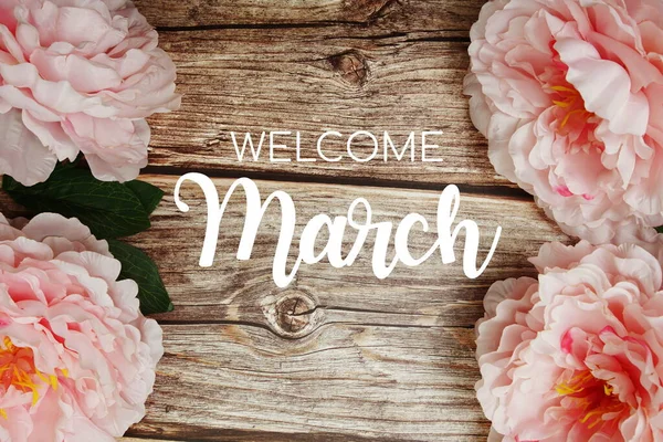 Welcome March Typography Text Peony Flowers Wooden Background — Stock Photo, Image