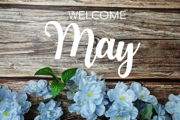 Bienvenido Mayo Tipografía Texto Con Flores Azules Sobre Fondo Madera — Foto de Stock