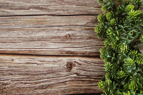 Verde Dejar Marco Borde Sobre Fondo Madera —  Fotos de Stock