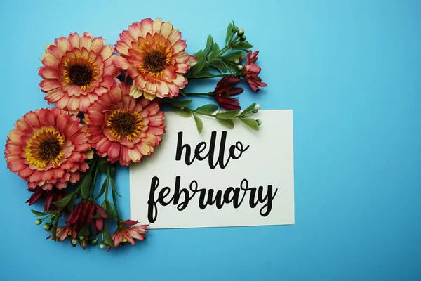 Hola Febrero Tipografía Texto Con Flores Margarita Sobre Fondo Azul —  Fotos de Stock