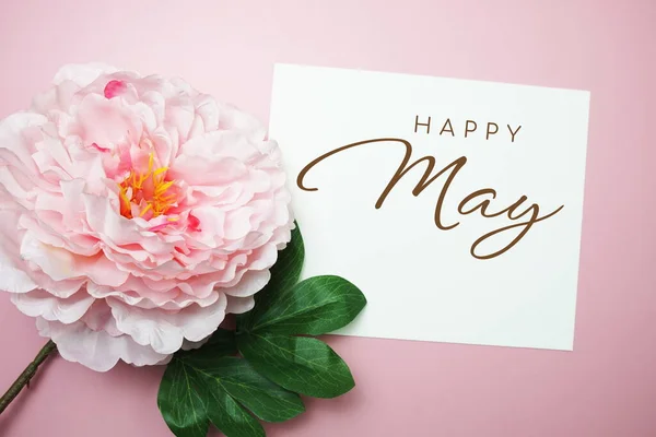 Happy May Tipografia Texto Com Flores Peônia Fundo Rosa — Fotografia de Stock