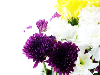 Beyaz arka plan üzerinde izole krizantem buket
