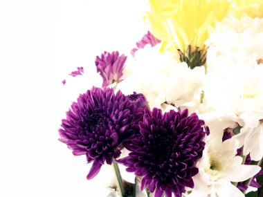 Beyaz arka plan üzerinde izole krizantem buket
