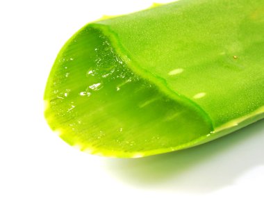 Aloe vera taze yaprak üzerinde izole beyaz arka plan dilimlenmiş