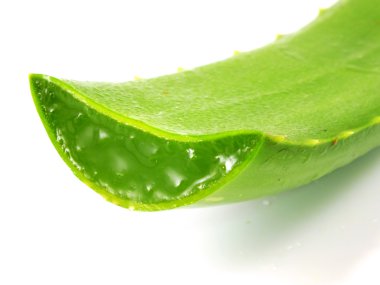 Aloe vera taze yaprak dilimlenmiş