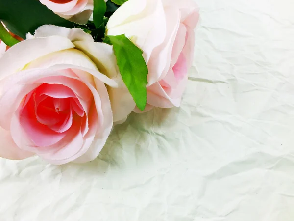 Hermosas rosas flor sobre papel textura fondo — Foto de Stock