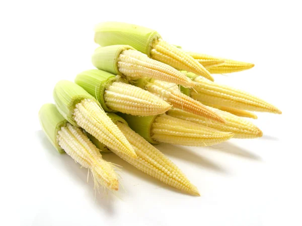 MinimajsBaby kukuřice — Stock fotografie