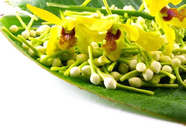 Gardenia blanca y orquídea amarilla en licencia de plátano — Foto de Stock