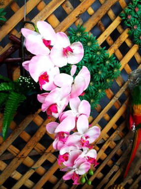 güzel sahte orkide çiçek buketi ahşap duvar üzerinde