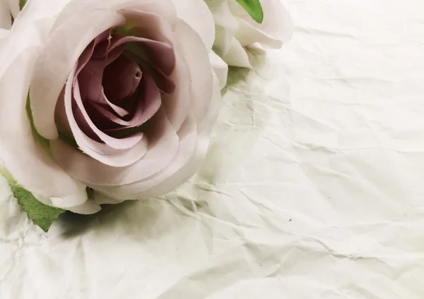 美丽的玫瑰花朵纸张纹理背景与筛选器颜色和副本的空间上 — 图库照片
