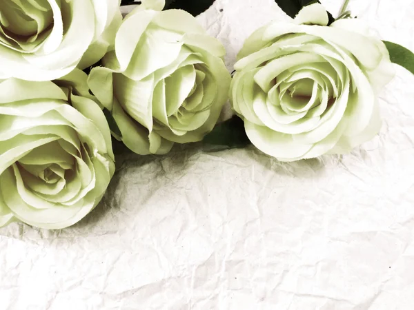 Beautiful roses background made with color filters — Stock Photo, Image