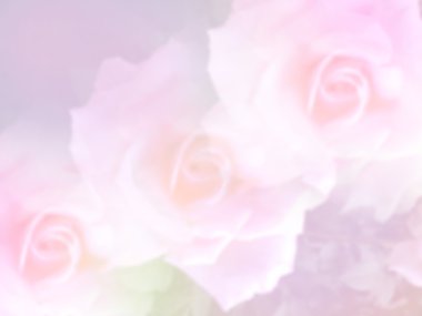 renk filtreleri ile yapılan güzel çiçekler